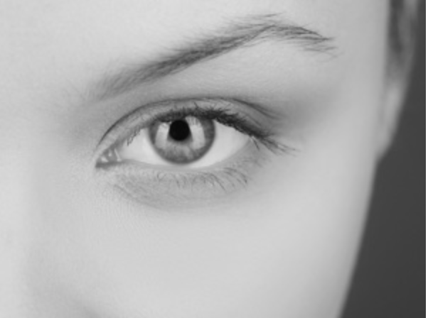 Our Contact Lenses